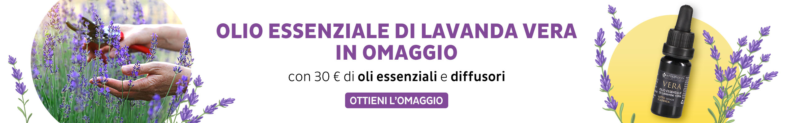 Olio essenziale di Lavanda della fattoria dell'autosufficienza in Omaggio