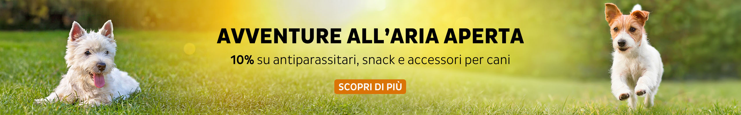 -10% su antiparassitari, snack e accessori per cani