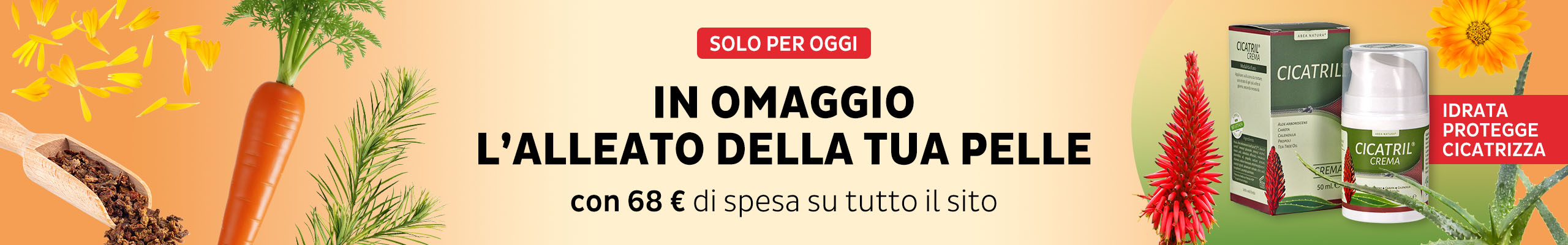 In OMAGGIO Cicatril