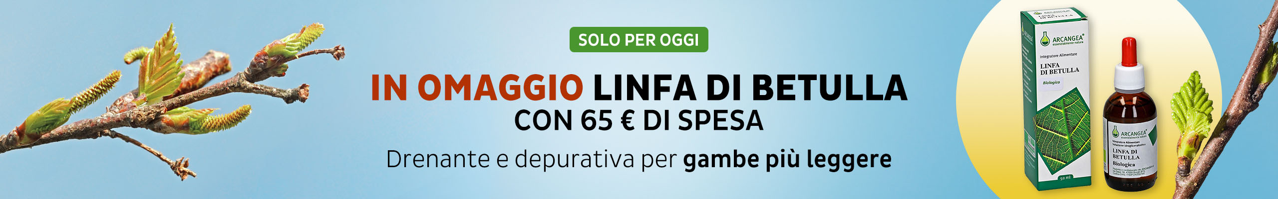 In OMAGGIO linfa di betulla