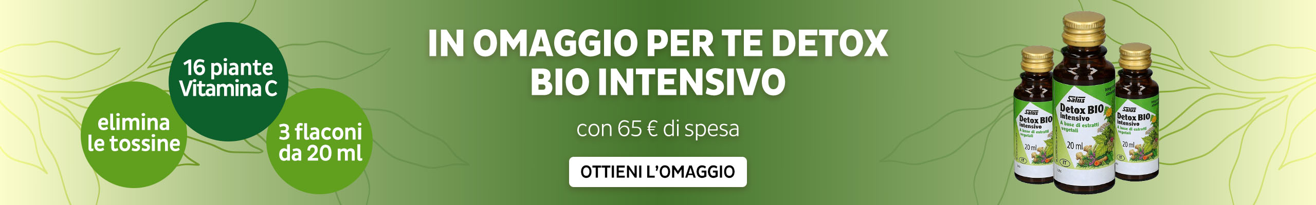 Omaggio 