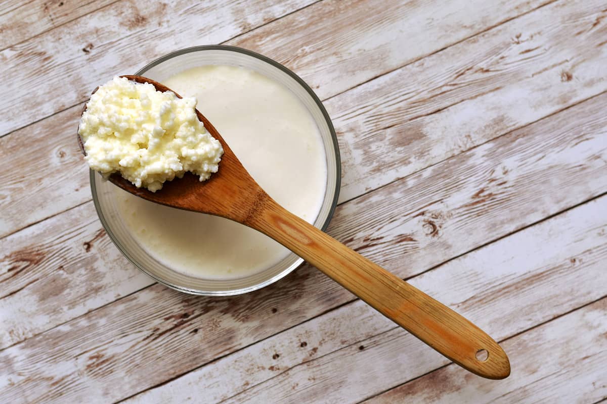 Granuli di kefir di latte