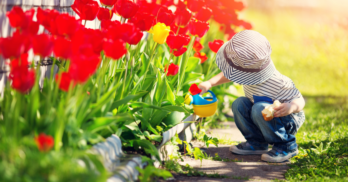Bambino che annaffia un giardino con fiori rossi