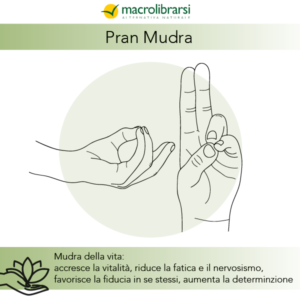 Pran mudra