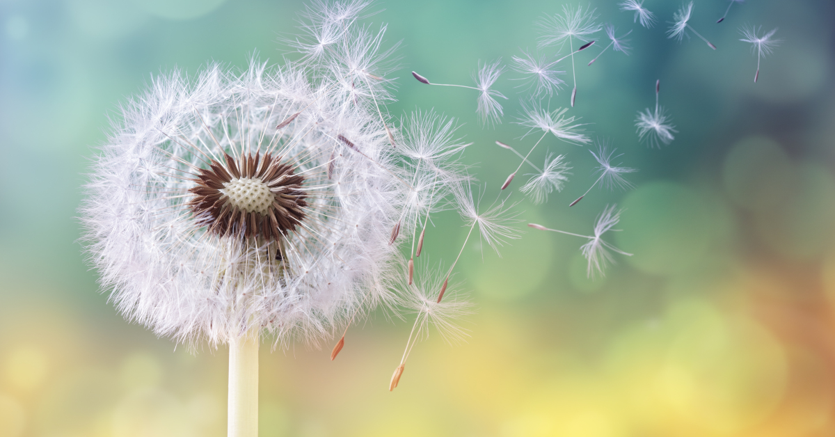 Uno degli allergeni più comuni che provoca allergia primaverile è il polline delle piante