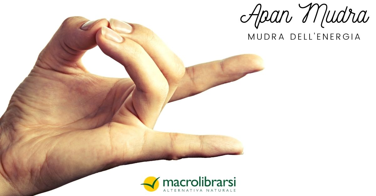 apan mudra