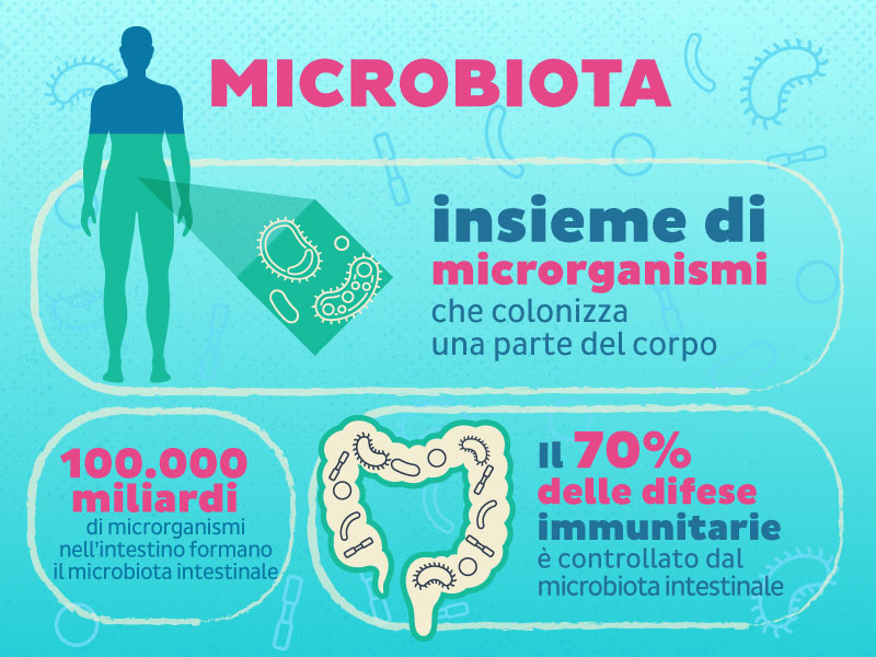 Il microbiota è l'insieme di tutti i batteri buoni presenti nel nostro organismo che cooperano per il mantenimento della nostra salute