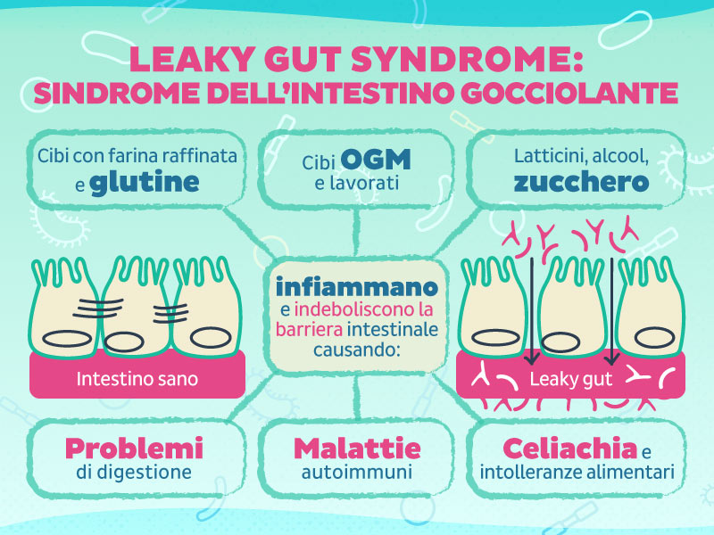 L'infiammazione provocata dal disequilibrio del microbiota crea permeabilità intestinale che permette il passaggio delle tossine nel resto del corpo