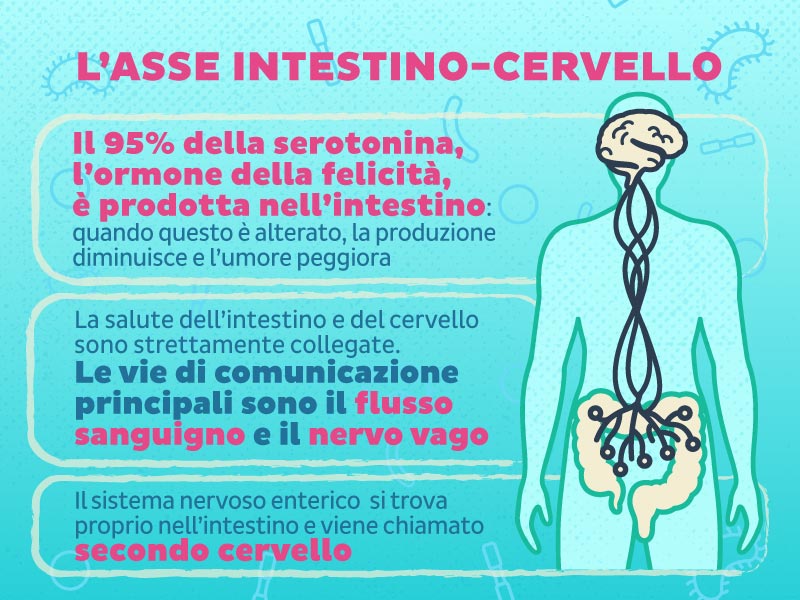 Intestino e cervello sono costantemente in contatto fra loro, grazie a segnali che viaggiano lungo il nervo vago e il flusso sanguigno