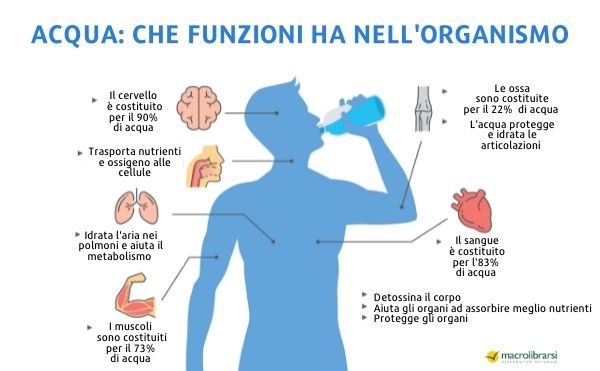 L'acqua è indispensabile per il benessere dell'organismo