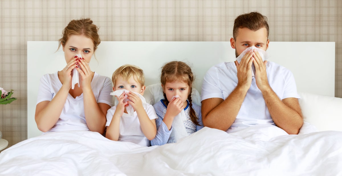 L'Echinacea aiuta ad alleviare raffreddore e febbre in adulti e bambini