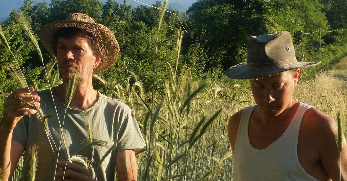 Padre e figlio in un campo di segale