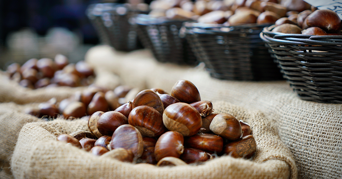 Scopri come conservare le castagne!