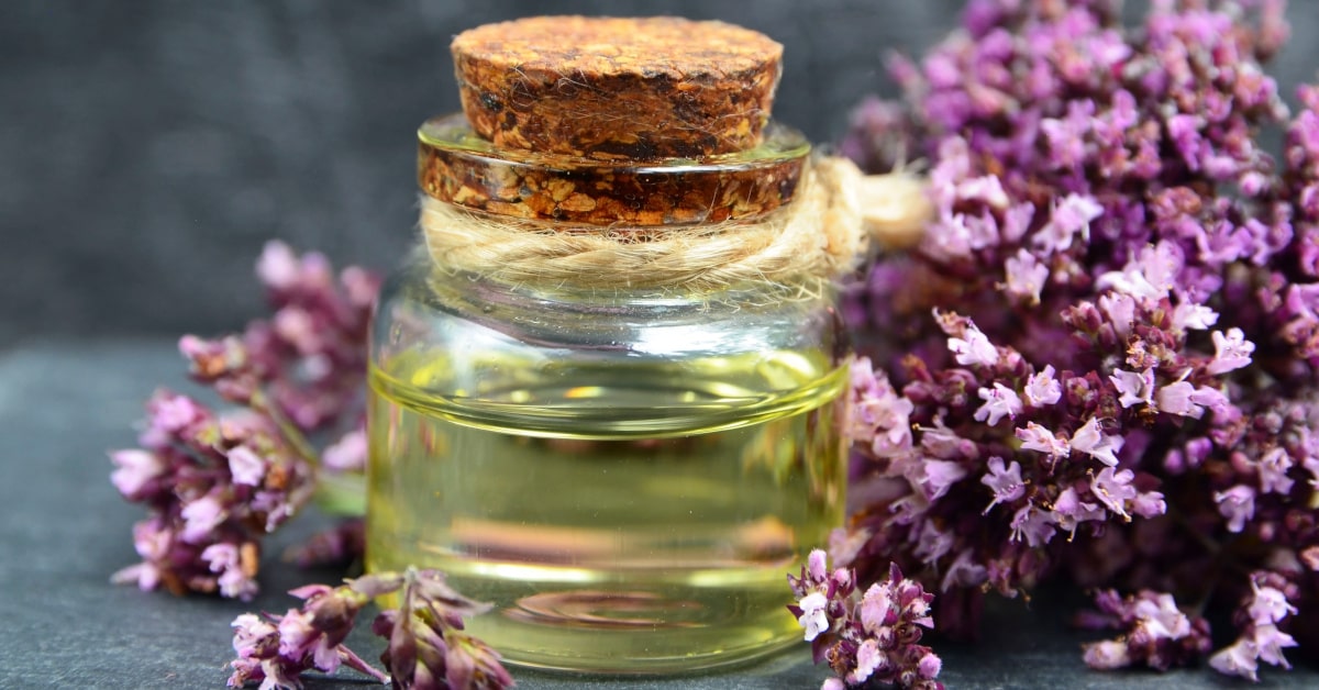 L'olio essenziale di Origano ha attività antibatterica utile per eliminare i batteri che possono provocare recidive alle vie urinarie favorendo cistite ricorrente