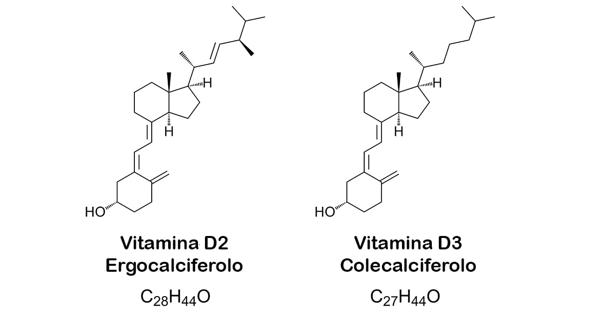 Differenza tra vitamina d2 e d3 negli alimenti