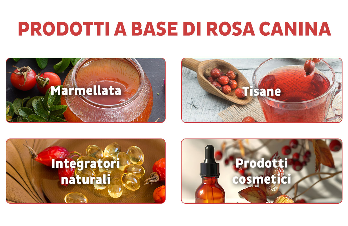 Infografica prodotti a base di rosa canina