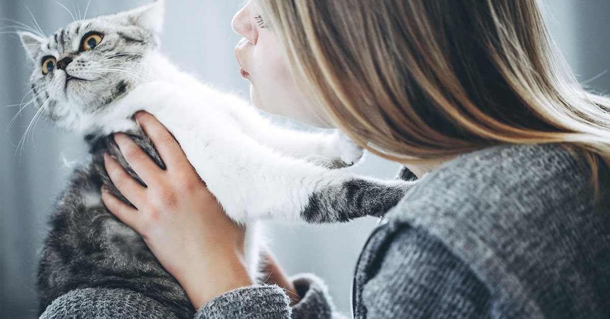 Gatto aggressivo e poco tollerante alle coccole