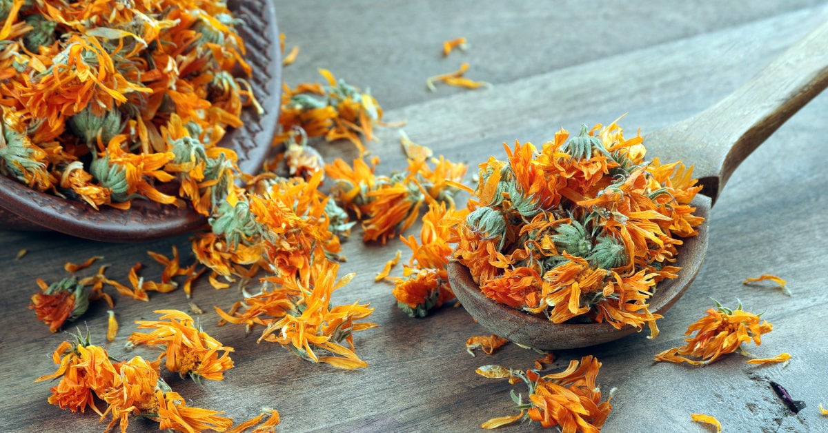 Fiori essiccati di calendula su un tavolo