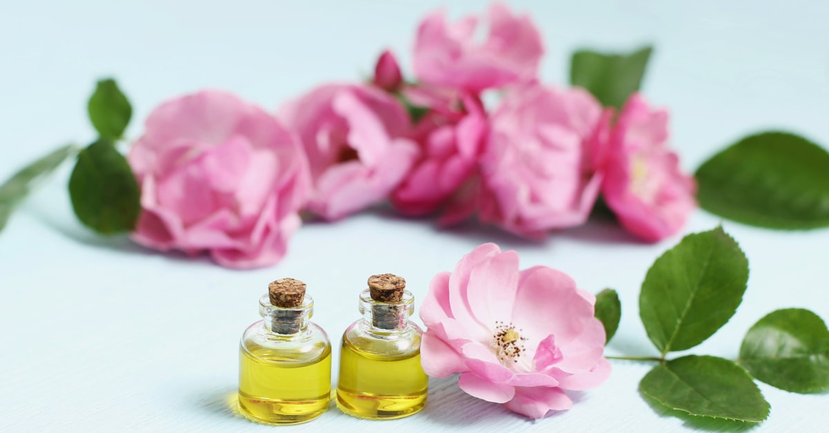 Fiori di rosa mosqueta su un tavolo con due bottigliette di vetro con olio di rosa