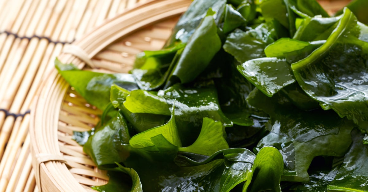 Piatto con alga kombu fresca a listarelle