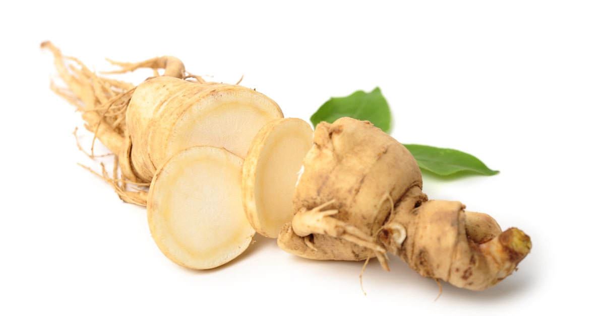 Radice di ginseng 