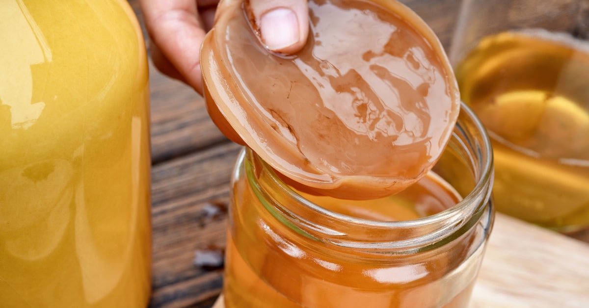 Scoby per komucha che viene posizionato su un contenitore pieno di bevanda fermatata