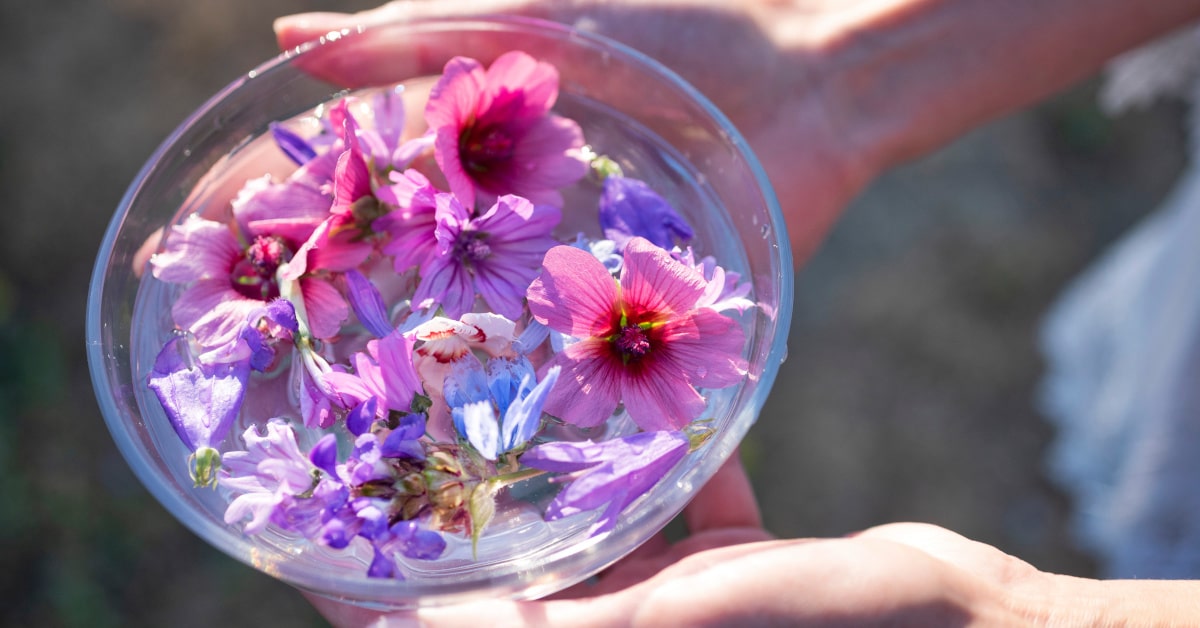 Ciotola con acqua e fiori per acqua di San  Giovanni