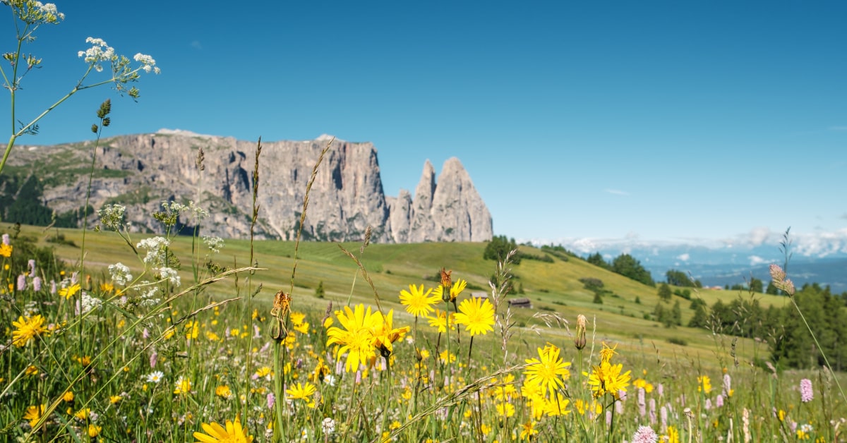 Schlern Mountain in Trentino Alto Adige