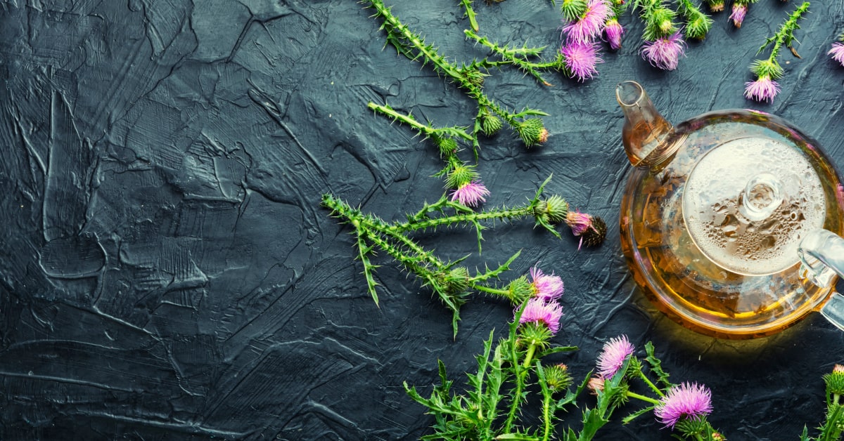 Tisana di cardo mariano con fiori della pianta