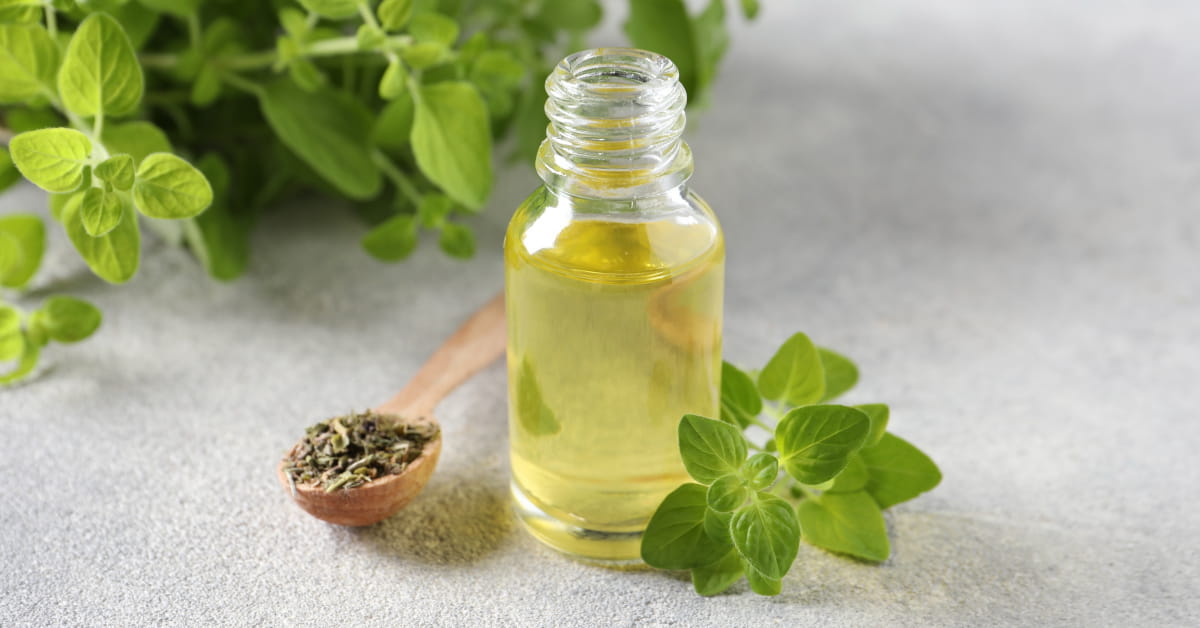 Olio essenziale di origano per contrastare la candida