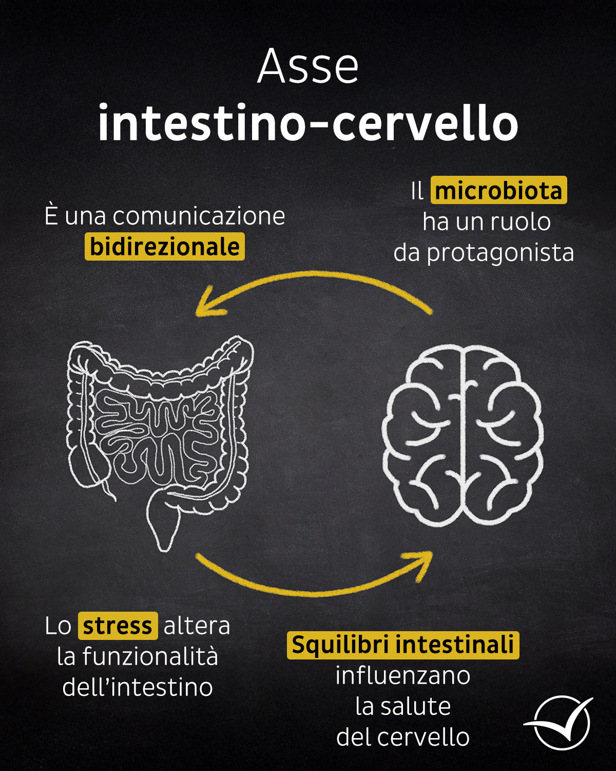  L&rsquo;asse intestino-cervello