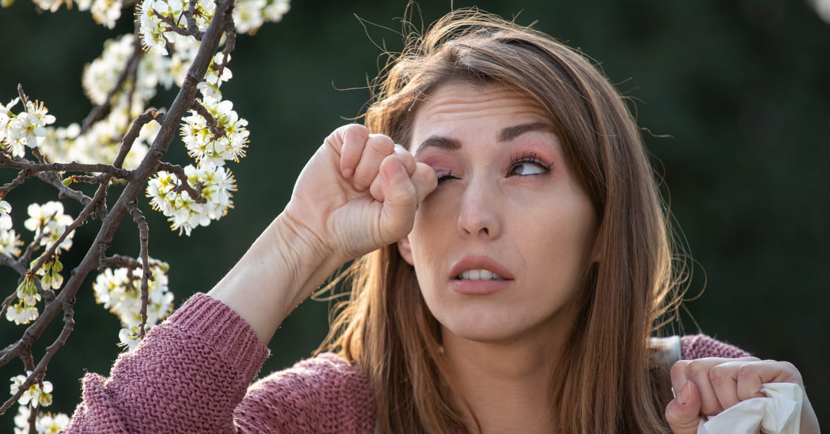 Euphrasia: come si usa (collirio, omeopatia, integratori)