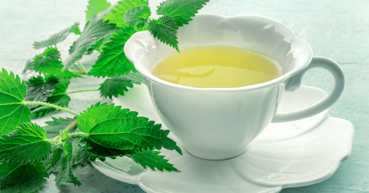 Tisana di ortica