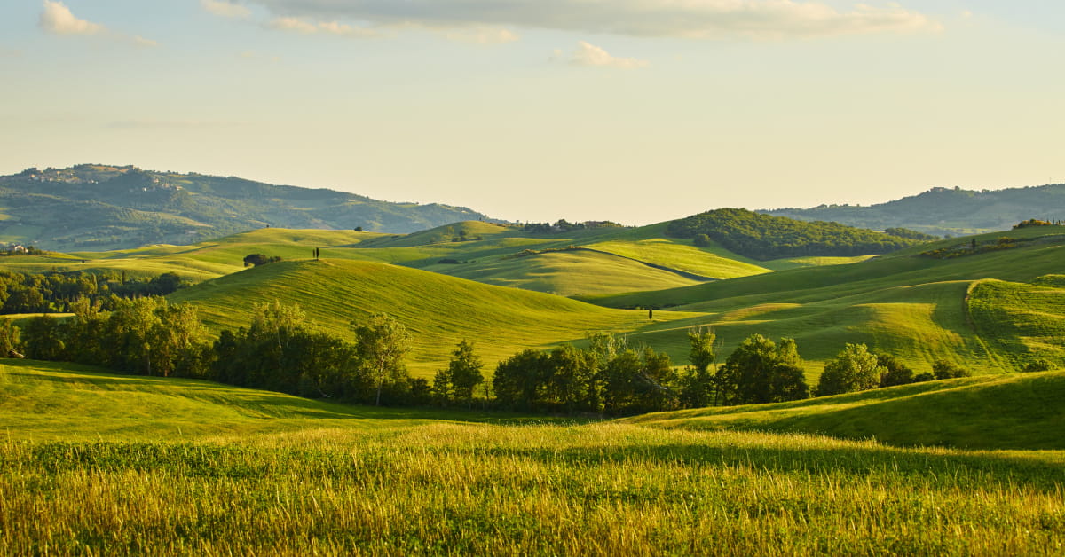 Biodiversità come atto di cura per te e per il territorio