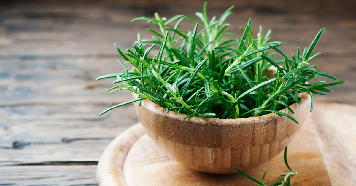 Pressione bassa in estate: rimedi naturali