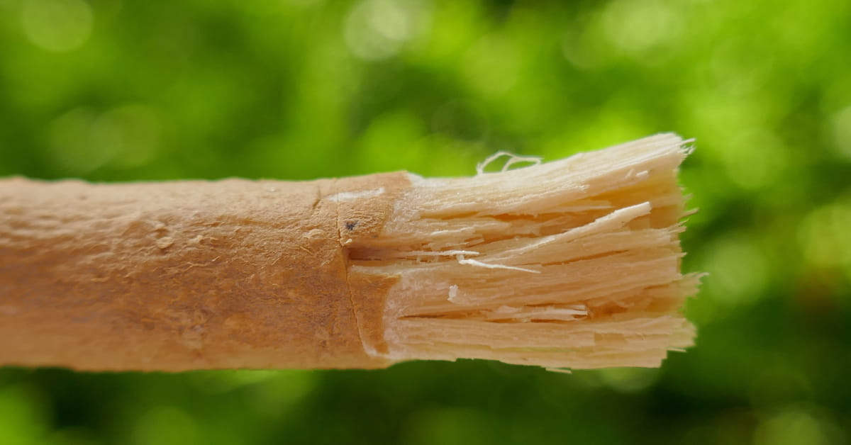 Cos&rsquo;&egrave; la radice di Miswak?
