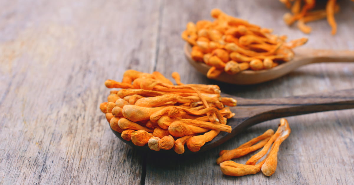 Cos'è il Cordyceps