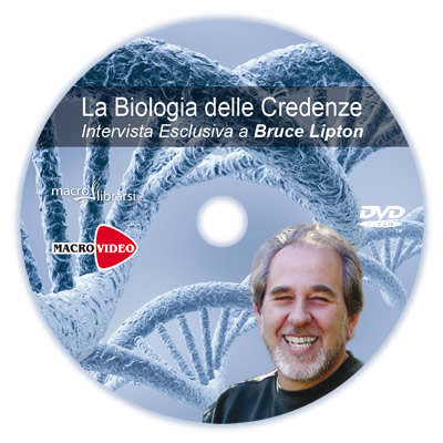 DVD Lipton