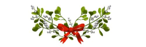 Risultati immagini per vischio